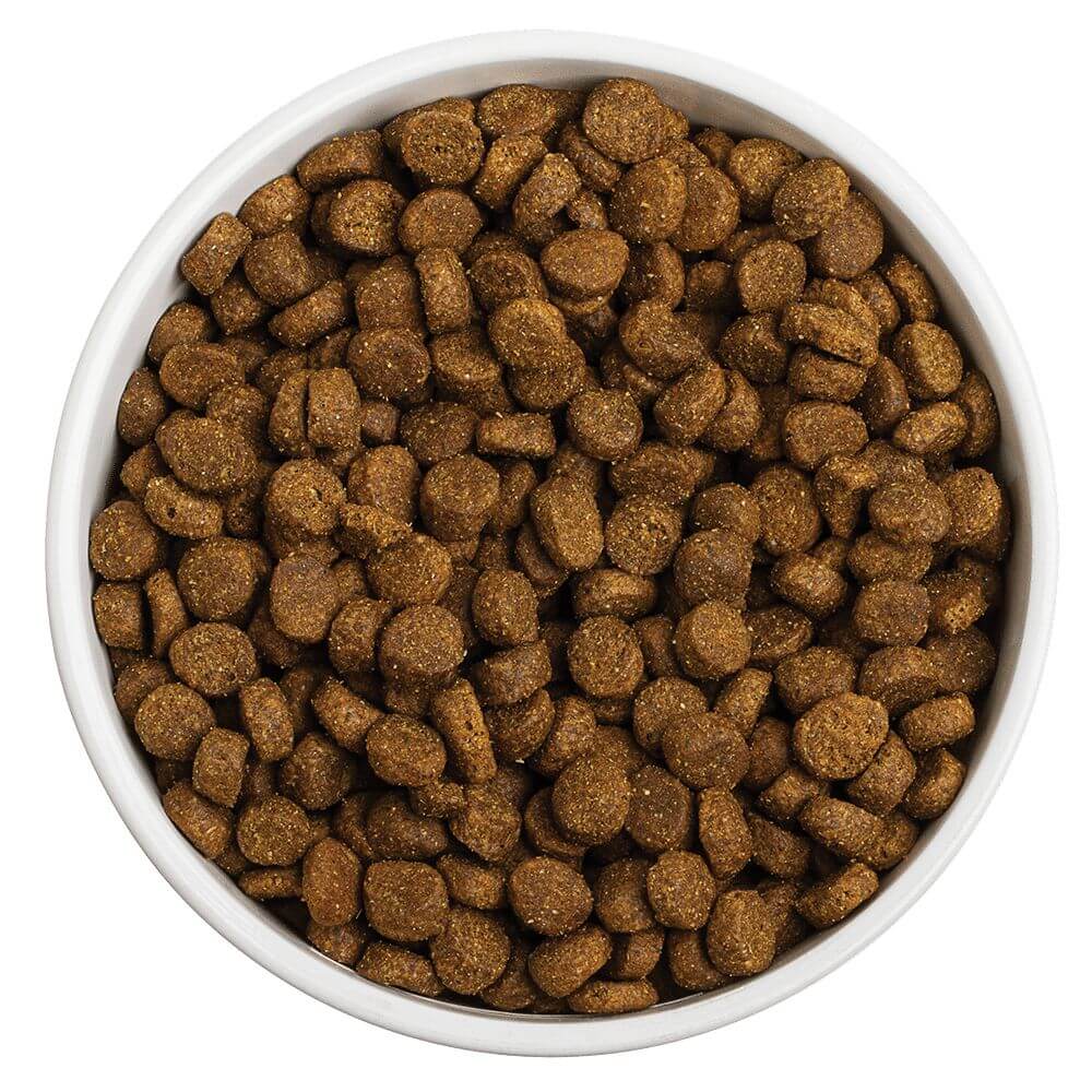 Dog Food 10kg