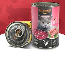 Cat Food 5kg