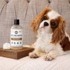 Dog Shampoo