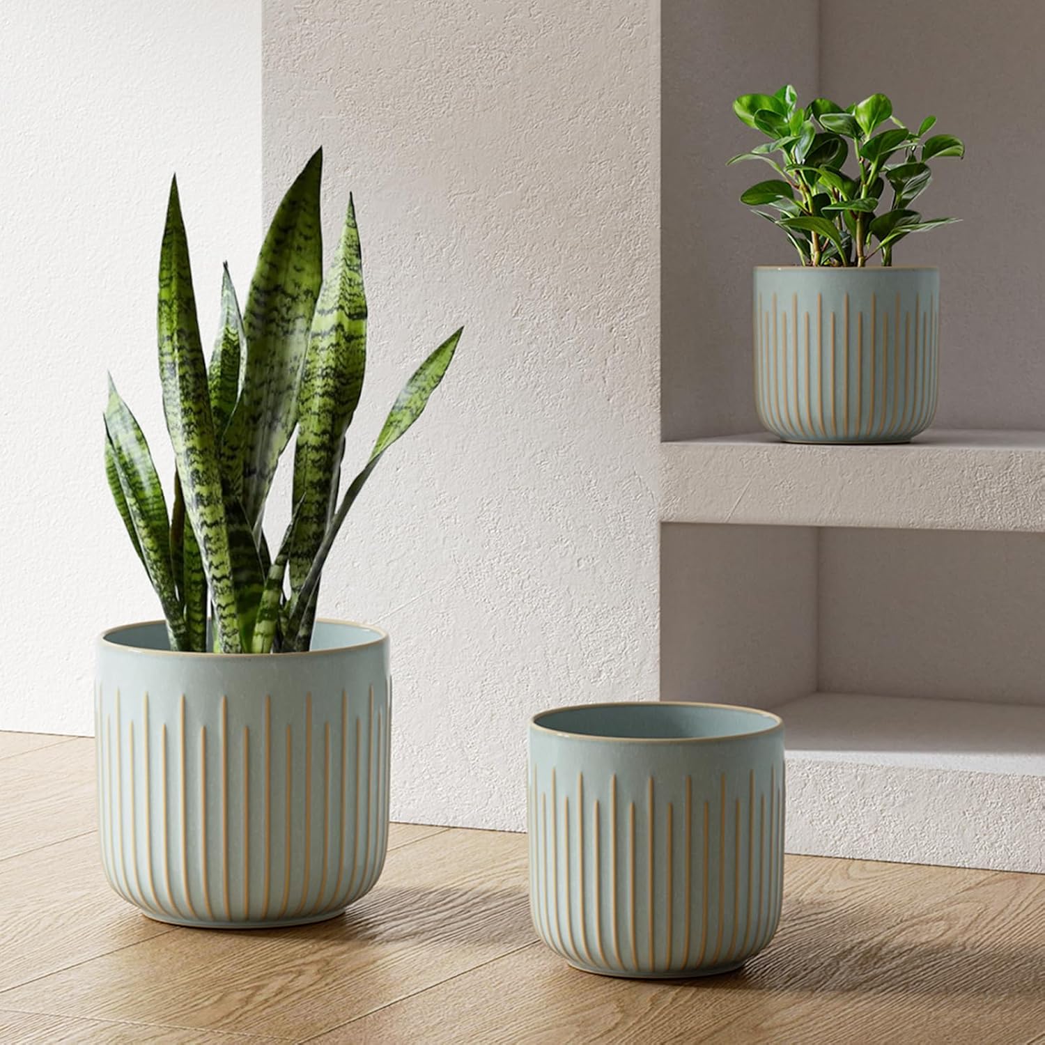 Plant Pot Set